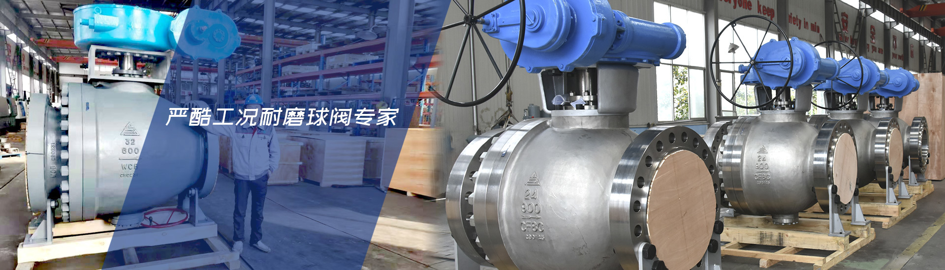 今年会有限公司