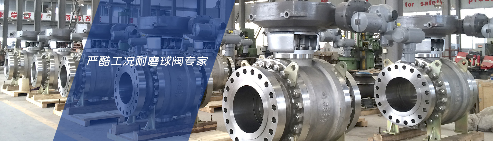 今年会有限公司